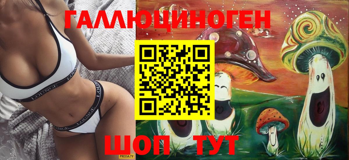 что такое   Вход с VPN  Чебаркуль  Галлюциногенные грибы Magic Shrooms  Псилоцибиновые грибы Psilocybine cubensis 